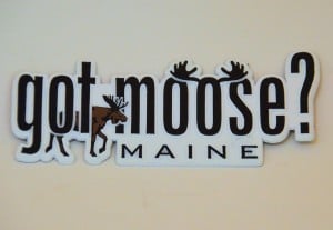 Maine Refrigerator Magnet – Got Moose?