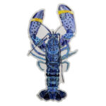 Rare Blue Lobster Sticker