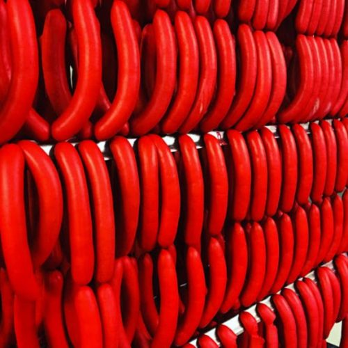 Why are Maine Hot Dogs Red? Box Of Maine