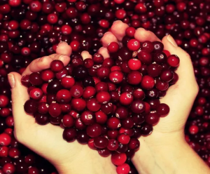 Craberries